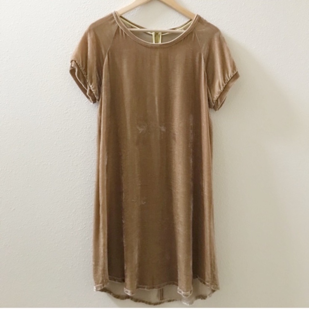 Zara Silk Blend Velvet Dress